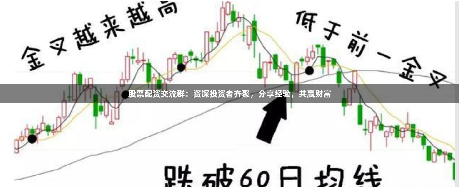 股票配资交流群：资深投资者齐聚，分享经验，共赢财富