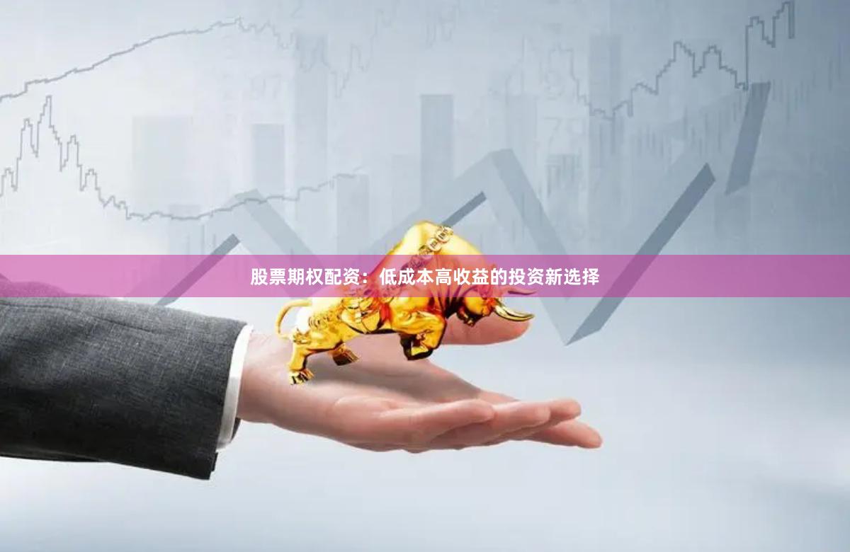 股票期权配资：低成本高收益的投资新选择