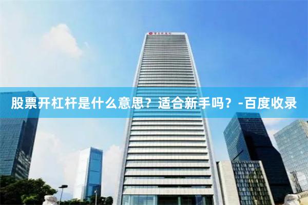股票开杠杆是什么意思？适合新手吗？-百度收录